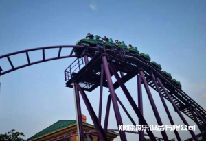 海盜船和過山車哪個更可怕？