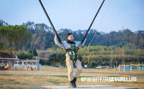 適合農(nóng)莊的刺激游樂設(shè)備合集！